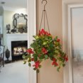 6" Bougainvillea Plant Hanging Basket