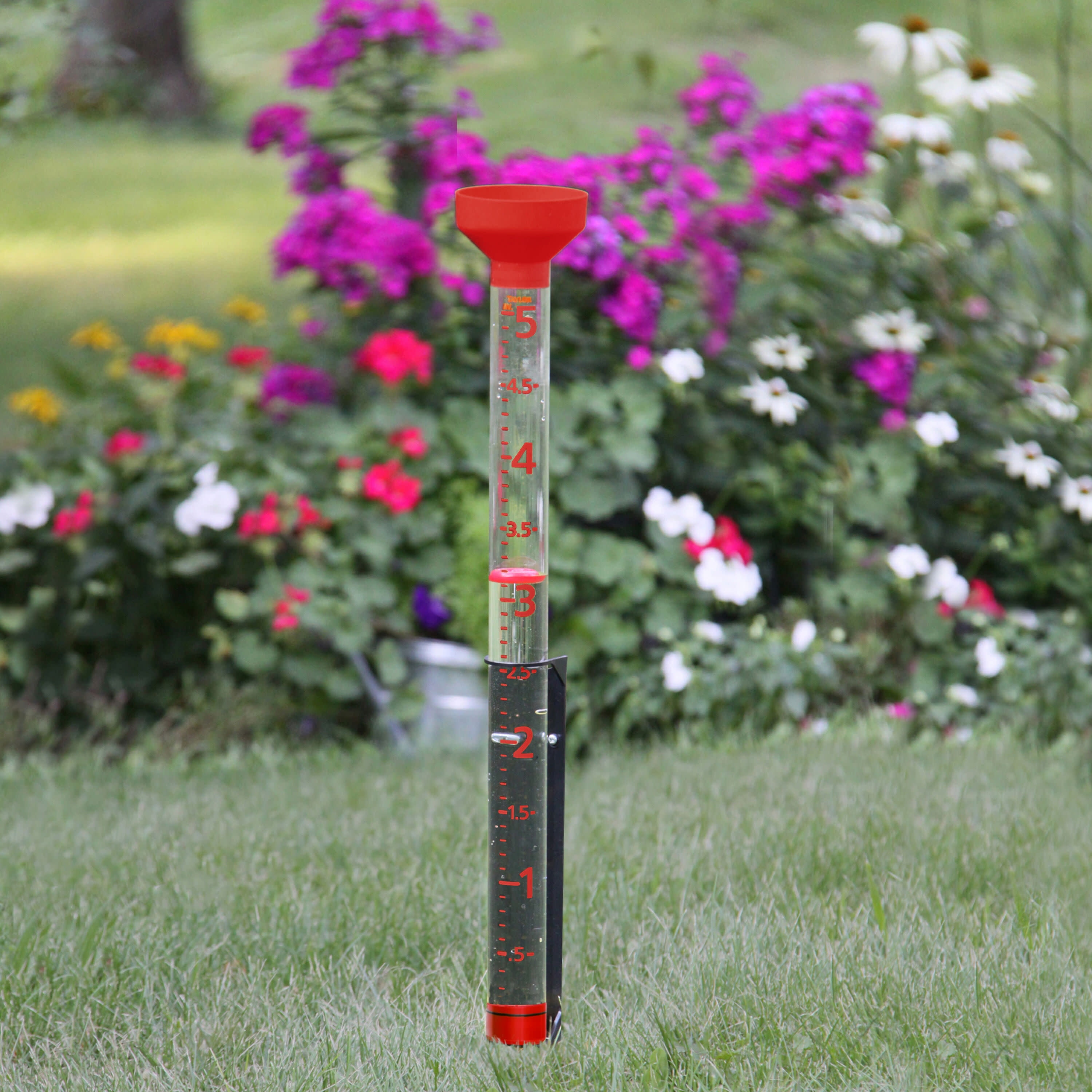 Taylor Jumbo Jr. Rain Gauge 5 inch Capacity with Easy-to-View Feature