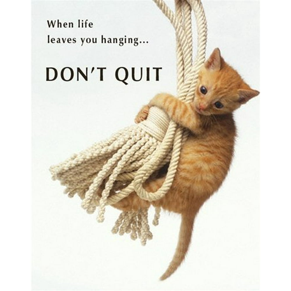 Don't Quit Cute Cat Kitten Animal Motivational Poster 16 x 20 inches