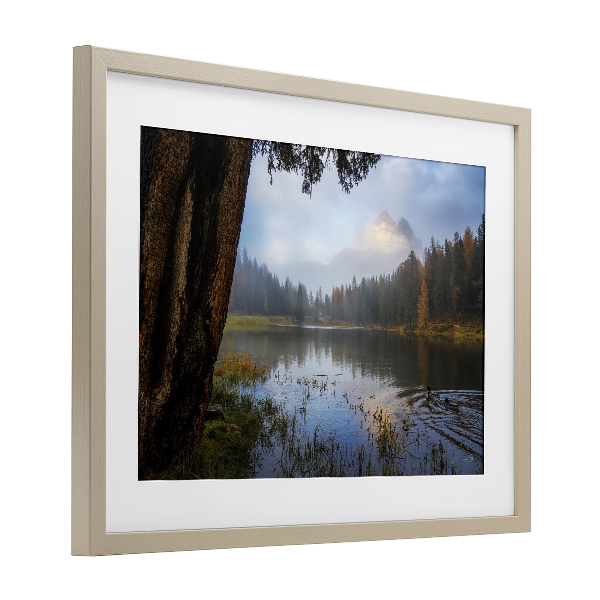 Stupell Industries Autumn Forest Reflections Birch Framed Print Under Glass, design by Martin Podt