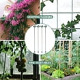 thumbnail image 3 of Nestingho 10Ud Varillas De Soporte Para Plantas En ABS Para Jardín Interior Y Plantas En Maceta, 3 of 7