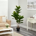 thumbnail image 6 of Nearly Natural 65" Fiddle Leaf Artificial Tree Uv Resistant, Indoor/Outdoor, Green, 6 of 6