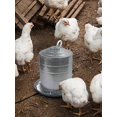 thumbnail image 5 of Poultry Water Heater - 30w Heated Pad, Winter Water Heated Pad, Suitable For Most Metal Buckets, 5 of 5