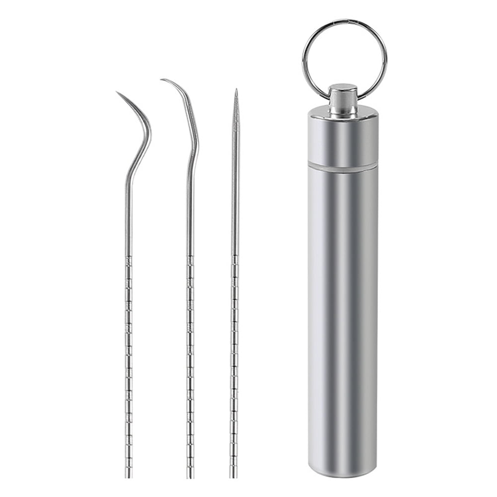 Stainless Steel Toothpick Set With Portable Toothpick Holder Travel Outdoor R8X7 