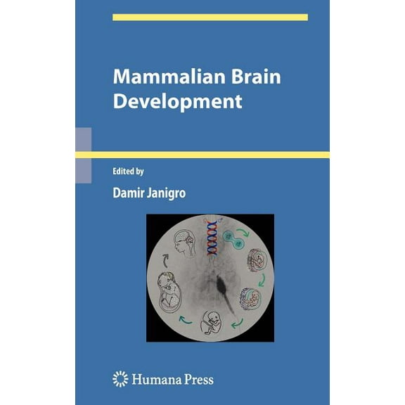 Contemporary Neuroscience Mammalian Brain Development, (Hardcover)