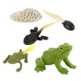 thumbnail image 2 of Kids Toddlers Animals Growth Cycle Toy Set Learning Gifts Frog, 2 of 8