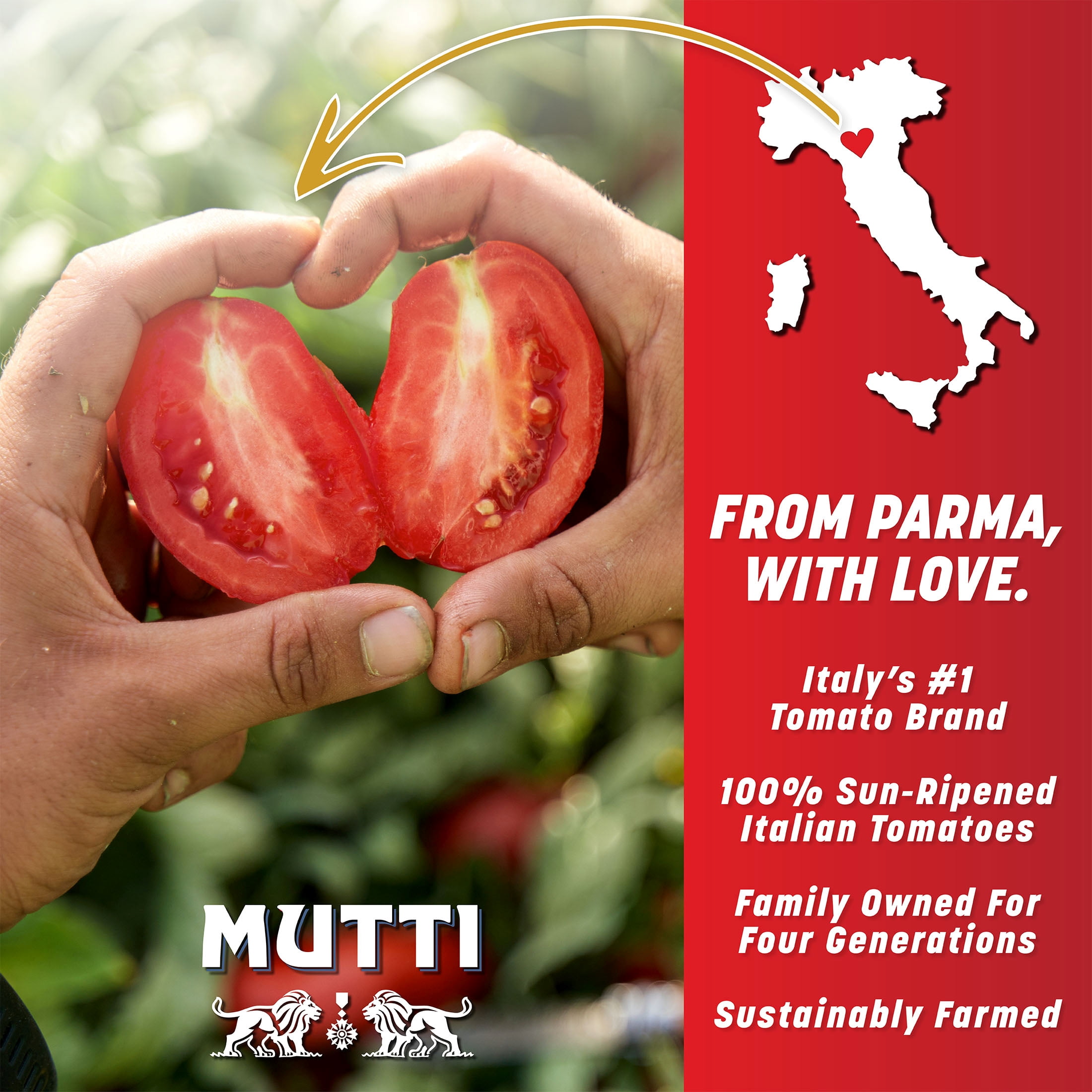 Mutti 100% Italian Crushed Tomatoes (Polpa), 14 oz, 12 Pack, Italy’s #1 Brand of Tomatoes, No Additives or Preservatives