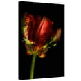 thumbnail image 2 of ArtWall Cora Niele "Tulipa Parrot I" Gallery-Wrapped Canvas, 2 of 2