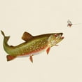 thumbnail image 3 of CafePress - Vintage Trout Fishing Illustration T Shirt - Men's Classic Graphic T-Shirt, 3 of 4