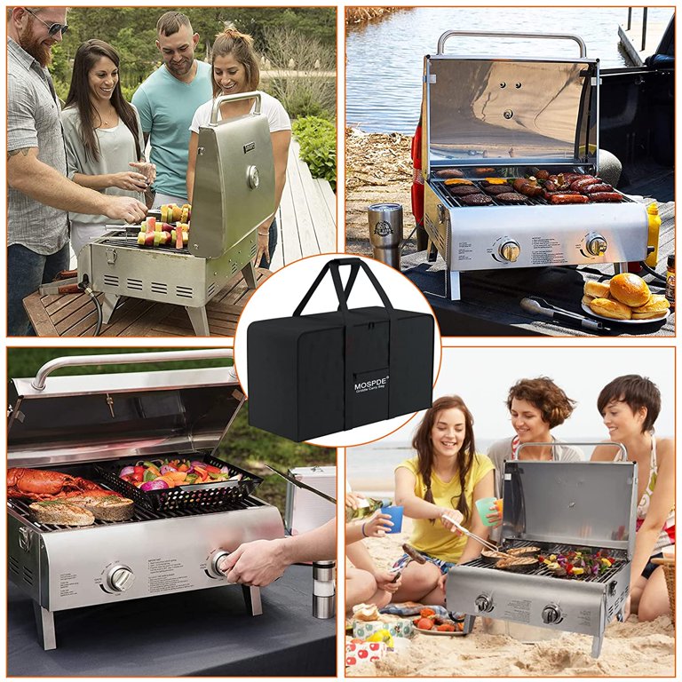 Pit Boss Grills 75275 Stainless Steel TwoBurner Portable, 43 OFF