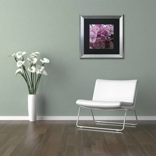 Trademark Fine Art "Cherry Blossom Cluster" Canvas Art by Kurt Shaffer, Black Matte, Silver Frame