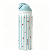 Owala FreeSip Insulated Stainless Steel Water Bottle with Straw 32oz Blue cherry