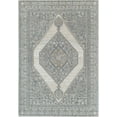 thumbnail image 2 of Rugs America Ludlow MD35A Ivory Windsor Transitional Vintage Grey Area Rug, 2'6" x 8', 2 of 6