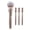 Rose gold, variant on 4-in-1 Magnetic Makeup Brush Set for Women - Professional Foundation, Contour, Eyeshadow Brushes - Portable Travel Makeup Tools