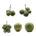 thumbnail image 6 of Fruit Ornament Artificial Coconuts Fake Coconuts Farmhouse Decorations Simulated Coconuts Artificial Fruit Props, 6 of 6