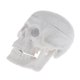 thumbnail image 1 of Simulación Clásico Cabeza Cráneo Modelo Anatomía Aprendizaje Juguete De Halloween Hugo Mini modelo principal del cráneo, 1 of 7