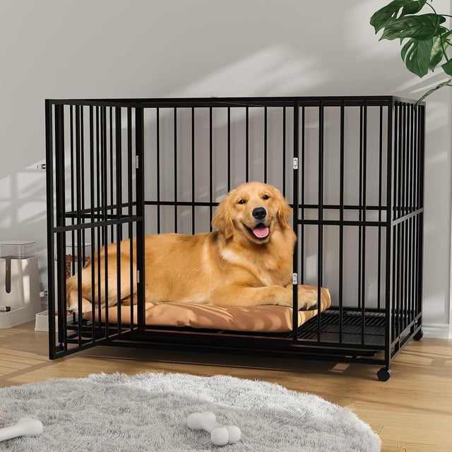 EastVita Cage pour Chien en Acier Inoxydable de 36 Pouces, Cage Intérieure/extérieure pour Grandes Races