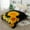 1 ply-Sunflower, variant on JML 2 Ply Fleece Plush Blanket Heavy Korean Blanket, Soft Warm Winter Blanket King 83"x93",6lb