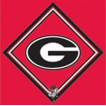 thumbnail image 2 of Hi-Look Collegiate Microfiber Cloth (University of Georgia), 2 of 2