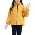 thumbnail image 4 of Unisex Boy's Girls Winter Warm Sherpa Lined Zip Up Sweatshirt Fleece Jacket Child's Thick Plush Cotton Coat Fleece Middle And Large Children's Zipper Windproof And Warm Coat, 4 of 4