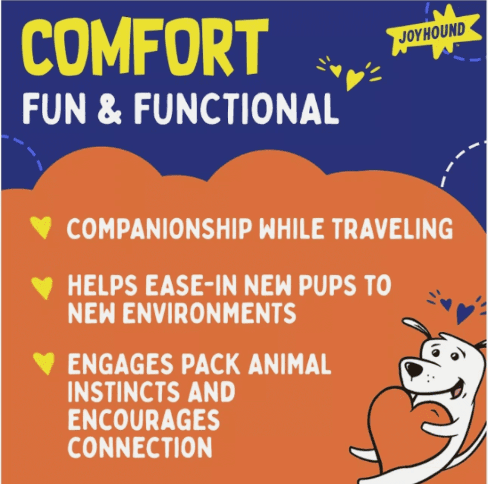 Joyhound Crazy Comfy Realistic Squirrel Flattie Dog Toy - Crinkle, Squeaker