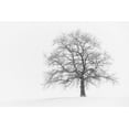thumbnail image 2 of Steger, Uwe 24x17 White Modern Wood Framed Museum Art Print Titled - Wintersturm I, 2 of 4