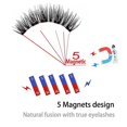 thumbnail image 3 of Niuniu Magnetic Eyelashes 3d Artificial Eyelashes Set, Reusable Double Magnetic False Eyelashes, Natural Look Of False Eyelashes, 3 of 5