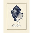 thumbnail image 3 of Gorham, Gregory 12x14 Black Modern Framed Museum Art Print Titled - Unicorn Shell, 3 of 5