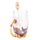 thumbnail image 5 of Taza de cristal Ficarrico, innovadora taza de té de flores con cuchara, taza para bebidas, regalos festivos de Navidad y cumpleaños, café, crisantemo, 350ML, 5 of 8