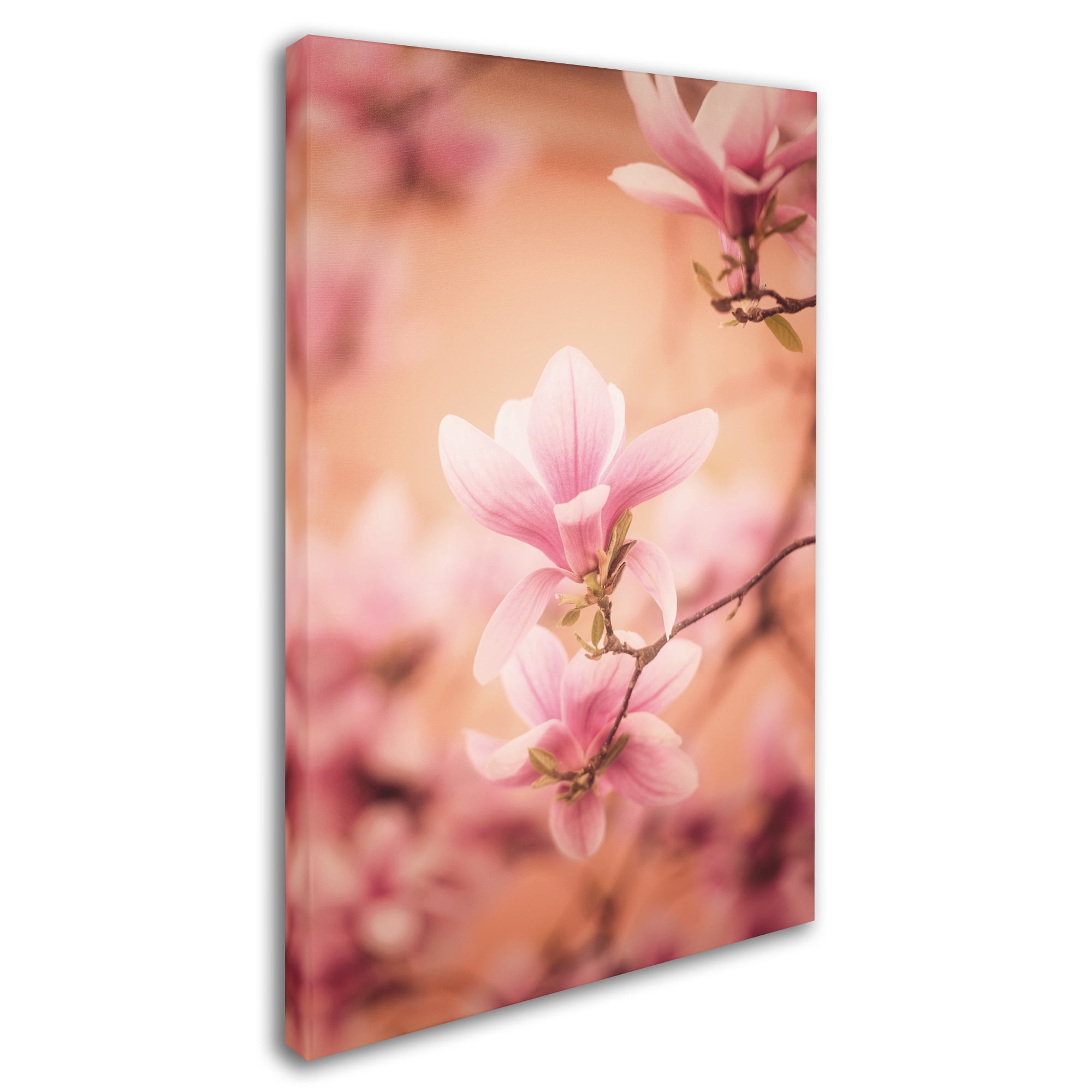 Trademark Fine Art 'Girls of Spring' Canvas Art by Philippe Sainte-Laudy