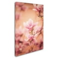 thumbnail image 2 of Trademark Fine Art 'Girls of Spring' Canvas Art by Philippe Sainte-Laudy, 2 of 3
