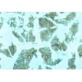 thumbnail image 1 of Ahgly Company Indoor Rectangle Abstract Light Blue Modern Area Rugs, 8' x 12', 1 of 4