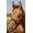 Black, variant on Jeffers Equine Nylon Pony Halter, Up to 300lbs– Heavy Duty 2 Ply Adjustable Design with Webbing & Cast Hardware, Secure Fit for Stable Tack, Training, & Barn Use, Pairs with Blanket - Royal Blue