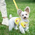thumbnail image 2 of Dog Harness and Leash Set with Bags Striped Lace No Pull Girl Dog Vest Harness Mesh Puppy Harness for Small Medium Dogs Cats Adjustable Pet Harness, 2 of 8
