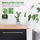 thumbnail image 4 of FESTFENDS Plantas Artificiales Decorativas Con Cactus Falso Para Y Espacios, 4 of 6