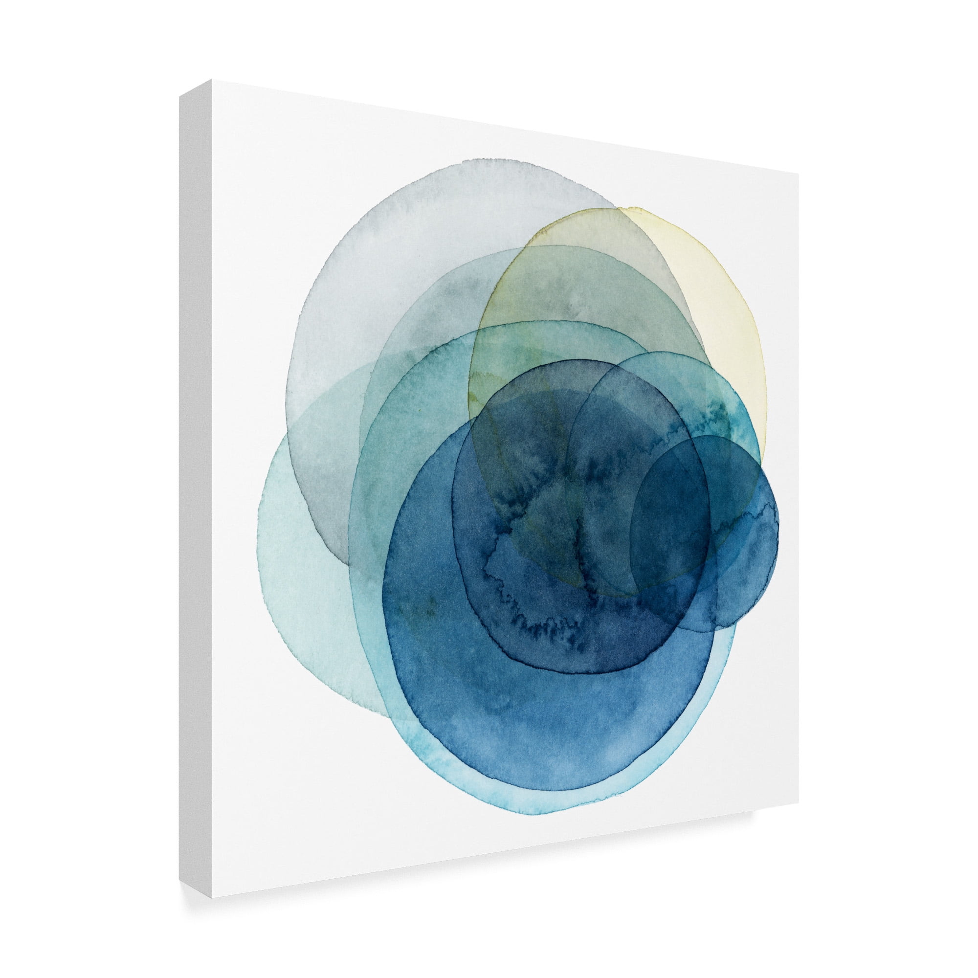 Trademark Fine Art 'Evolving Planets I' Canvas Art by Grace Popp