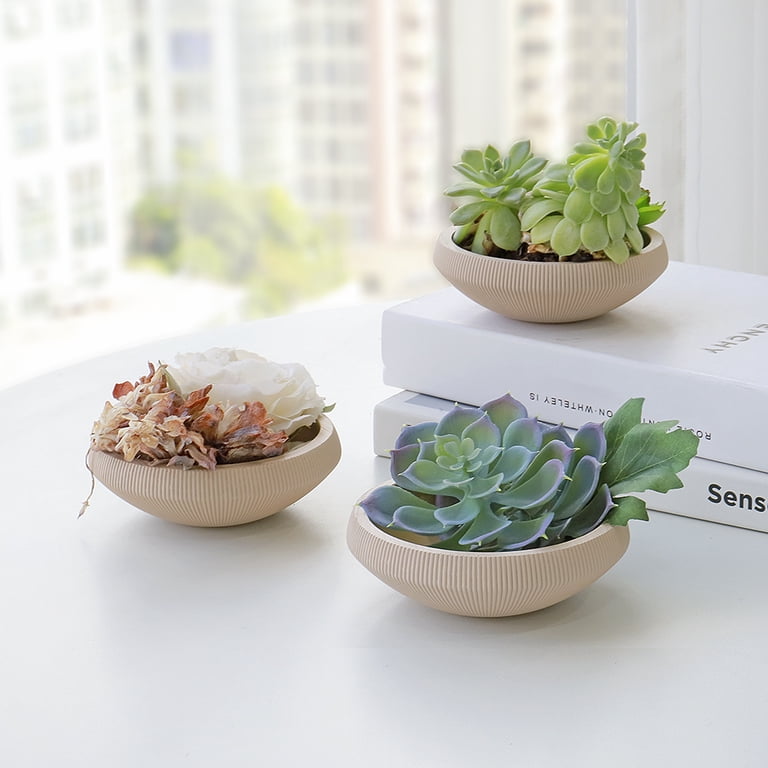 Koyal Wholesale 8 Pack Desert Tan Ribbed Shallow Plant Pots, Succulent Pot,  Small Succulent Planter for Succulent Garden - Walmart.com