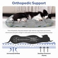 thumbnail image 6 of CuiLiyq Washing Machine Washable Dog Bed, Soft Plush Rectangle Sleeping Pet Mat for Small Medium Dogs Cats Puppy, Comfortable Couch Sofa Bedroom Indoor Use (17.7" x 11.8", A), 6 of 6