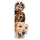 thumbnail image 1 of 2 pegatinas de pared de perros y gatos, pegatinas de puerta de arte DIY, murales de animales, ventanas, tiendas de cocina, amantes de las mascotas, regalos para el hogar, 1 of 5