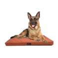 thumbnail image 2 of Tommy Roommie Cama perro Tommy Naranja G, 2 of 5