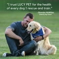 thumbnail image 3 of Lucy Pet Products Hip to Be Square Salmon & Pumpkin Dog Treats 6 oz, 3 of 7