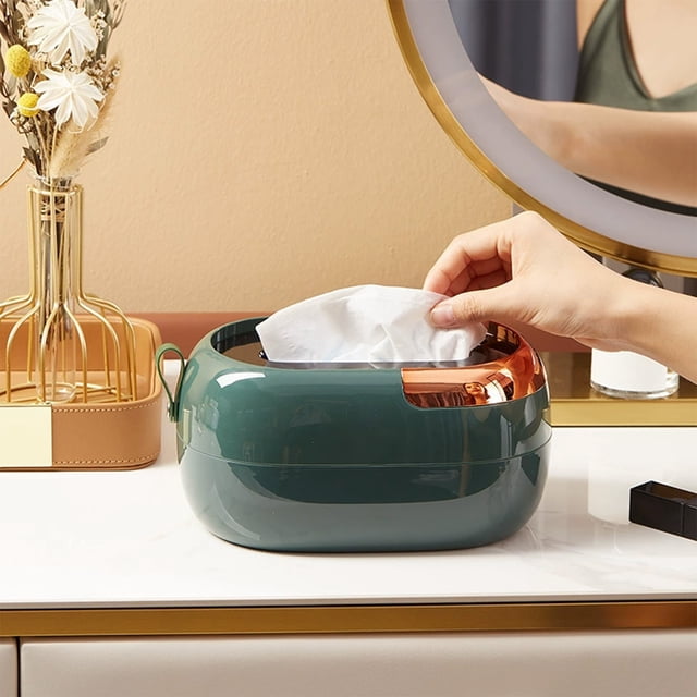Desktop Tissue Box Holder with Spring and Storage Compartment for Kitchen, Living Room, Coffee Table Decor