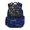 Colorful Dinosaur Skeleton Pattern, variant on Psesaysky Lightweight Daypack for Elementary Middle School, 600D Polyester Multi-Pocket School Bookbags, Colorful Cartoon Dinosaur Pattern