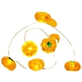 thumbnail image 5 of Luces de Halloween 3D tipo Jack-o-Lantern, 4 m, 40 LED, cadena de luces naranjas a pilas para fiestas de Halloween en interiores, otoño, cosecha al aire libre y decoraciones de Acción de Gracias., 5 of 5