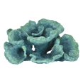 thumbnail image 1 of Plutus Brands PBTH92854 Résine Corail Décoratif Turquoise&44; Vert, 1 of 1