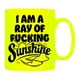 thumbnail image 2 of Grindstore - Taza Diseño Neón I Am A Ray of Fucking Sunshine (Amarillo, Negro), 2 of 2