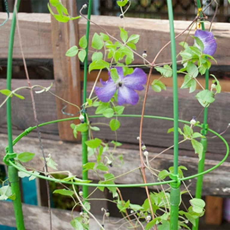 Updated Sturdy Plant Tape Support Tomato Cage for Garden, Stakes