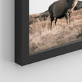 thumbnail image 5 of PixonSign Framed Wall Art Country Deer & Antelope Prints, Set of 4 Southwest Desert Animals Landscape Wall Decors, Nature Wall Décor, Adhesive Canvas Poster, Modern Home Artwork - 8"x10" Black, 5 of 5