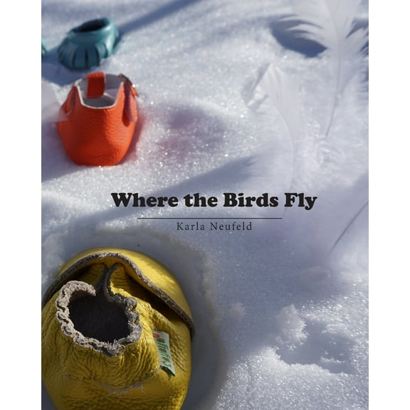 Where the Birds Fly (Paperback)