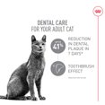 thumbnail image 3 of Feline Care Nutrition - Dental Care - Dry Cat Food 6lbs, 3 of 5
